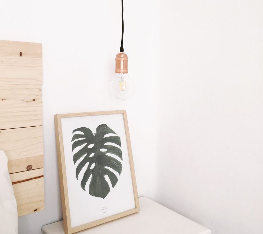 monstera leaf in picture frame at therapist office